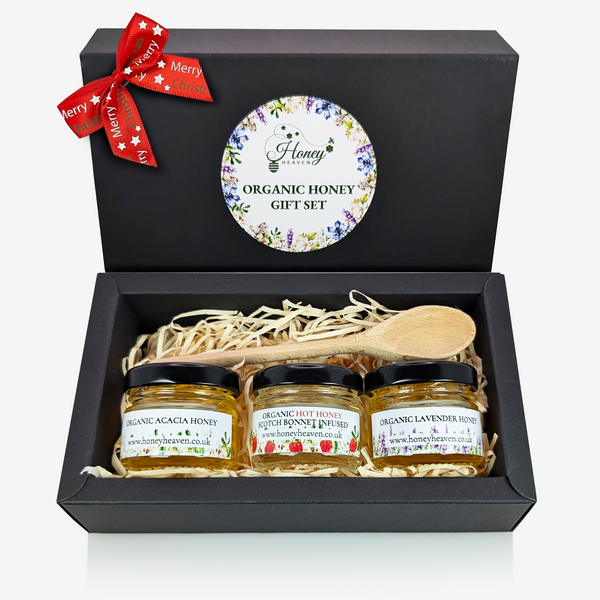 Organic mini Honey gift set of 3 with wooden serving spoon 40g jars