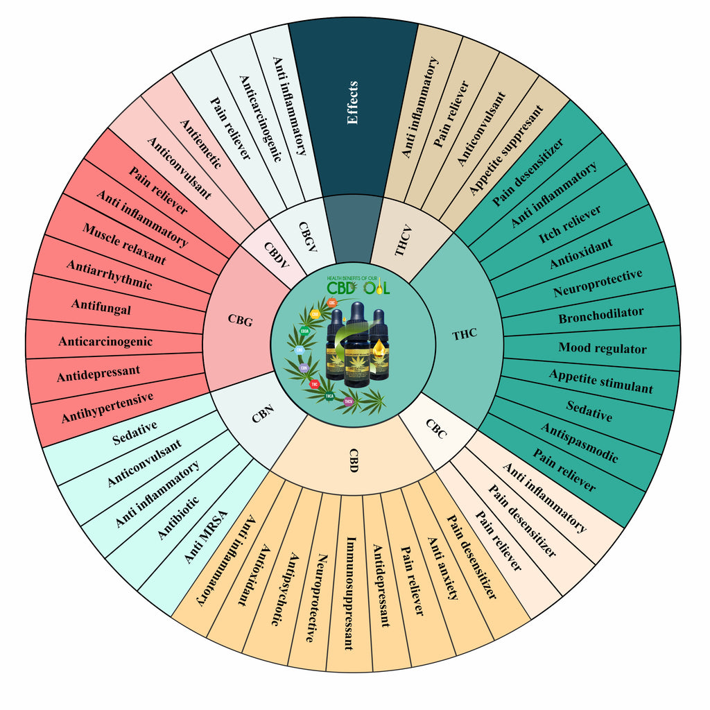 CBD Bundle Health